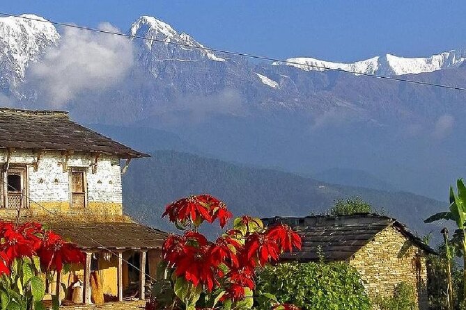 Pokhara: Dhampus Easy Trek for Families with YoungKids 2 Day Tour - Logistics that matter with kids: transfers, timing, and private pacing