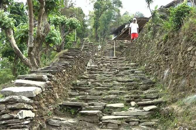 Pokhara: Dhampus Easy Trek for Families with YoungKids 2 Day Tour - Packing and pacing tips for the easy trek part