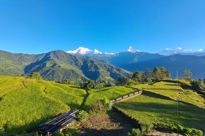 Pokhara: Easy Day Hike to Australian Camp & Dhampus Village - The descent to Phedi: why the second half matters