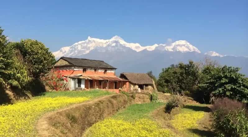 Pokhara : Easy Dhampus & Astam Village Day Hike - Dhampus Village Break: Terraced Fields, Forest Footpaths, Annapurna Views