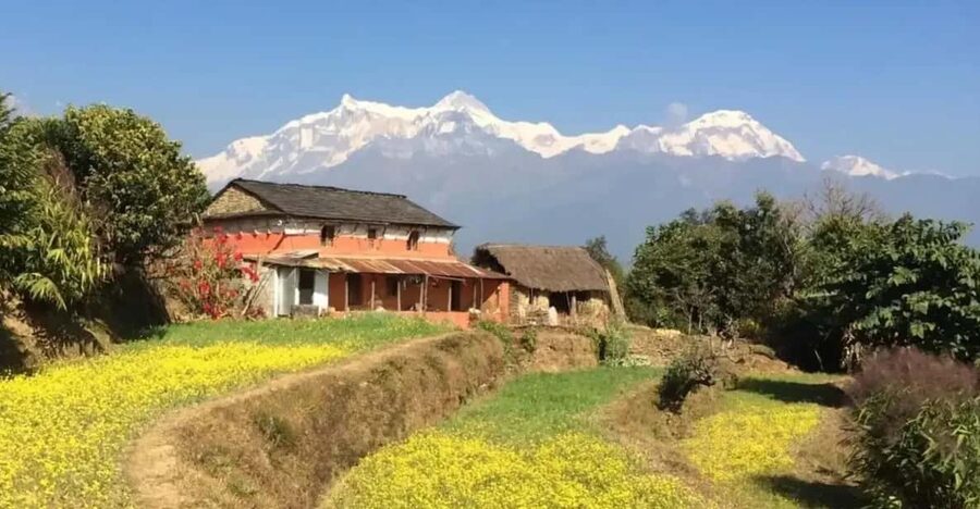 Pokhara : Easy Dhampus & Astam Village Day Hike - Hemja Return Walk: A Scenic Finish to Lakeside Pokhara