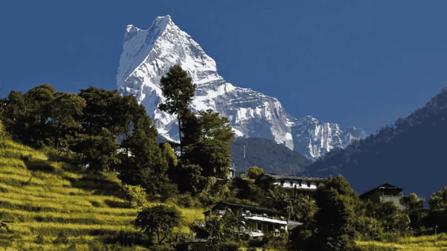 Pokhara: Guided Day Hike From Dampus To Australian Base Camp - Key points I’d plan around before you go