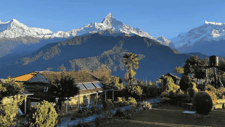 Pokhara: Guided Day Hike From Dampus To Australian Base Camp - Getting to Dhampus from Pokhara: pick the right pickup spot