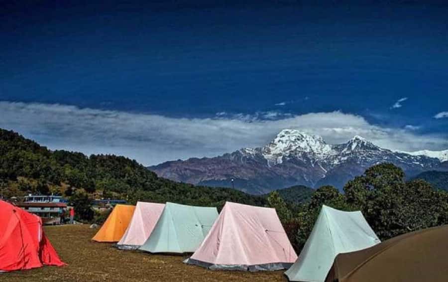 Pokhara: Guided Day Hike From Dampus To Australian Base Camp - The Dhampus to Australian Camp trail: easy pace, real forest time, waterfall energy
