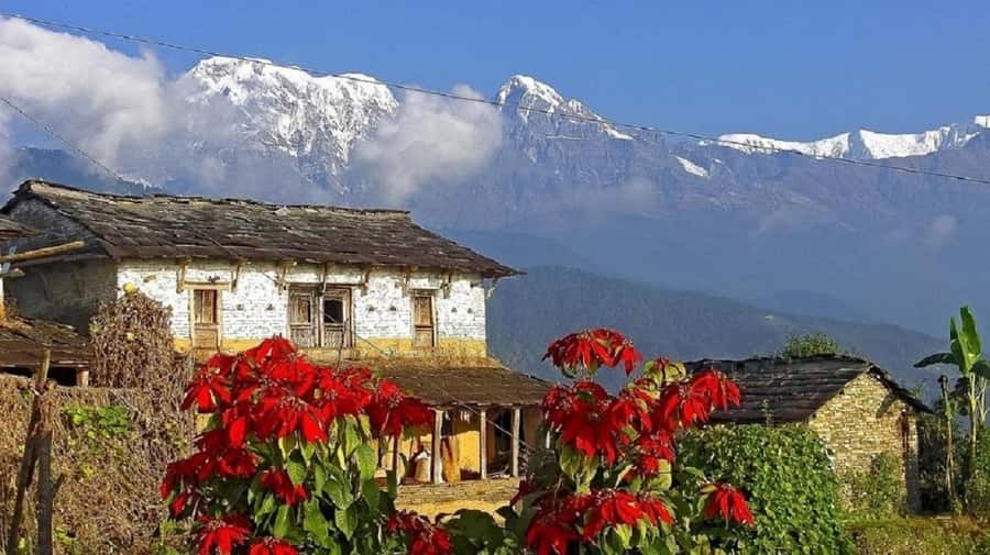 Pokhara: Guided Day Hike From Dampus To Australian Base Camp - Price and value: why $55 can make sense for a day out