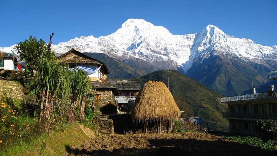 Pokhara: Guided Day Hike From Dampus To Australian Base Camp - What to pack so you do not waste your hike time