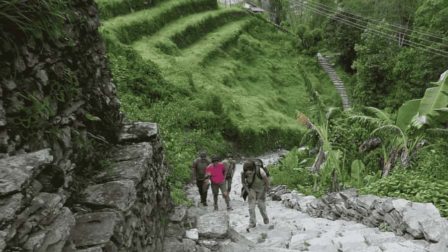 Pokhara: Guided Day Hike From Dampus To Australian Base Camp - Dhampus village time: where Gurung culture and mountain views meet