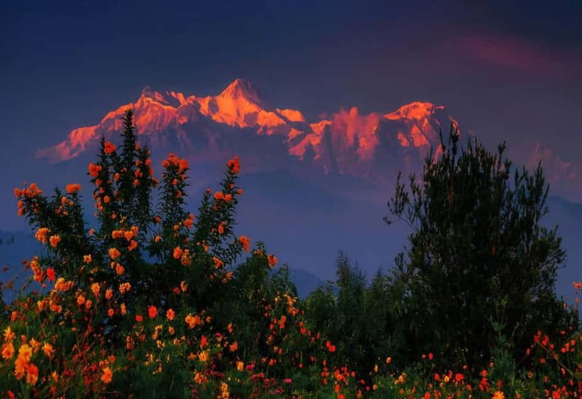 Pokhara: Hike To Australian Base Camp - Guides, language, and what they actually do on the trail