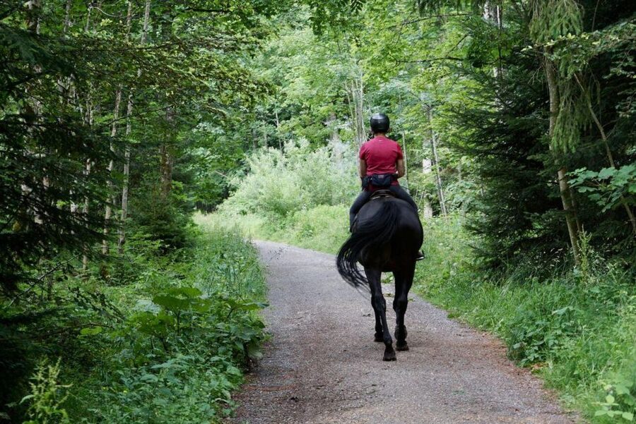 Pokhara: Horseback Adventure - Getting to the Trail: Lakeside Pickup and a 2.5-Hour Plan