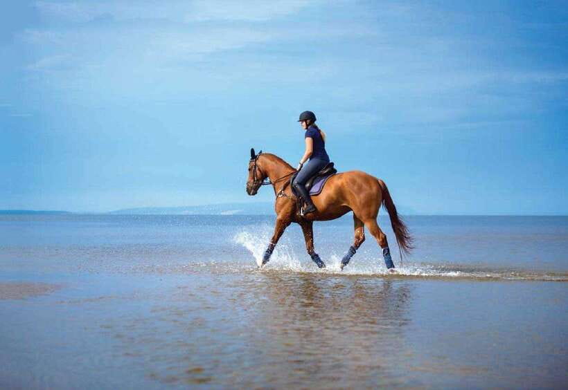 Pokhara: Horseback Riding Adventure with Hotel Pickup - Horses, safety gear, and how the guide keeps you confident