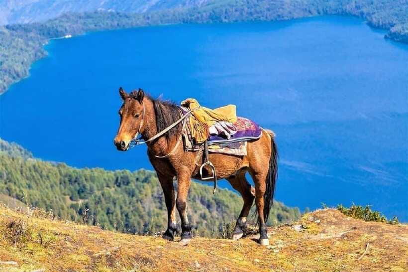 Pokhara: Horseback Riding Adventure with Hotel Pickup - What to bring (and what to avoid) for a smoother ride