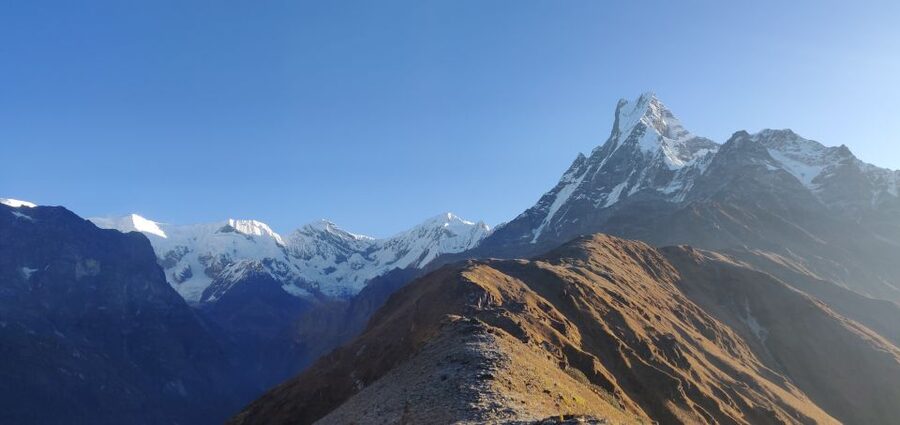 Pokhara: Majestic Mardi Base Camp Guided Trek with HotSpring - Day 2: Forest Camp to High Camp at 4,000m and the Birdlife Pace