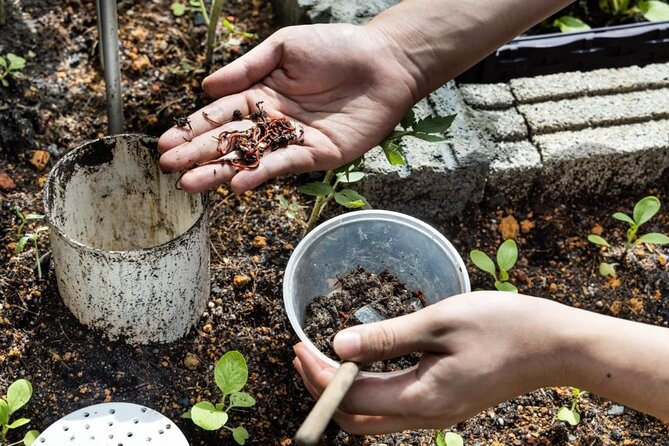 Pokhara: Organic Farm Tour and Cooking Class at Durku - Harvest and Prep: Turning a Farm Visit Into Real Ownership