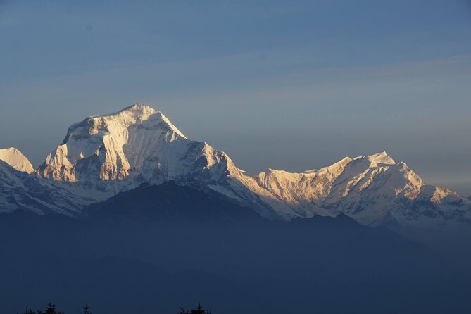 Pokhara: Poon Hill Ghorepani Short Trek - Day 3: Poon Hill at Sunrise, Then a Measured Descent Back