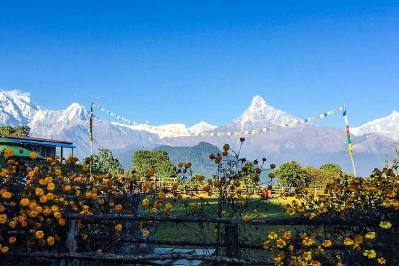 Pokhara: Poon Hill Trek - Why this 4-day Poon Hill route is a smart Nepal intro