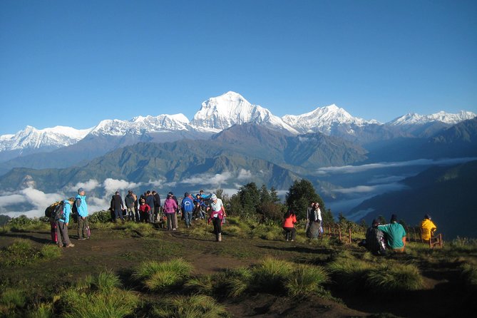 POON HILL HOT SPRING - 10 Days Trek - Tadapani to Jhinu Danda: the planned recovery day