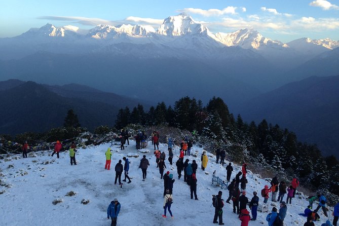 POON HILL HOT SPRING - 10 Days Trek - Ulleri to Ghorepani (2010m to 2874m): your first real altitude wake-up