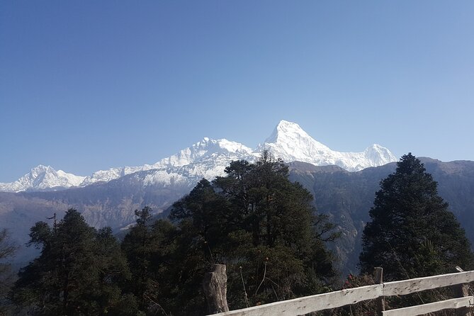 Poon hill Trek 3 days - Who you’re traveling with, and how the guide and porter changes everything