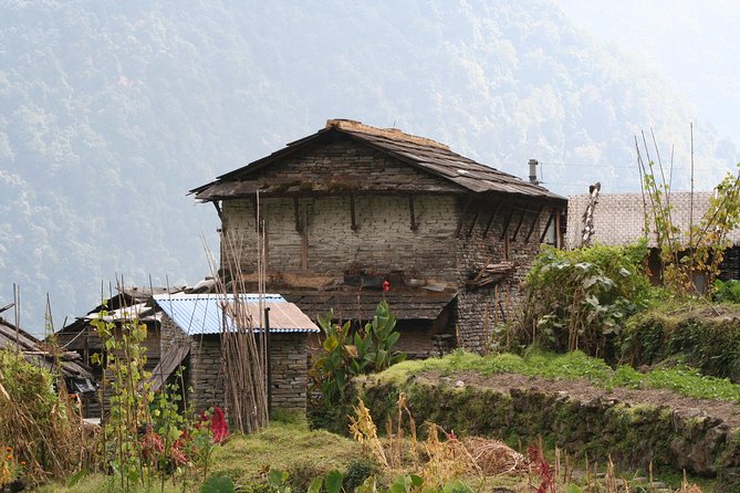 Poon Hill Trek - Ulleri Slopes to Ghorepani: Where Forests and Altitude Start Talking