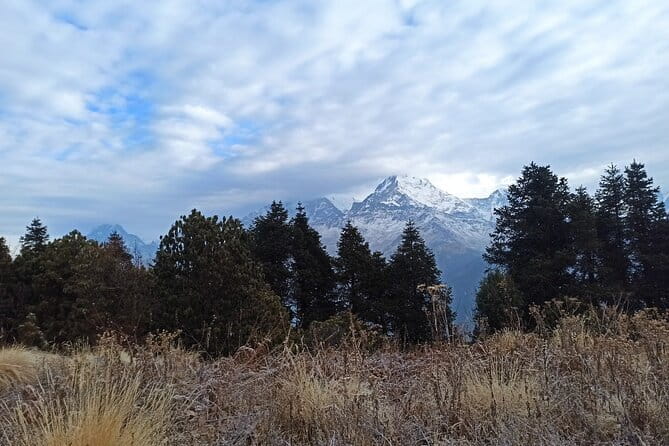 Poon Hill Trek from Pokhara 4 Days - Why this 4-day Poon Hill trek feels like a best-of Nepal