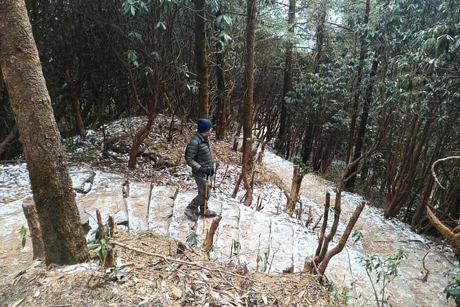Poon Hill Trek from Pokhara 4 Days - Villages, culture, and the tea house rhythm