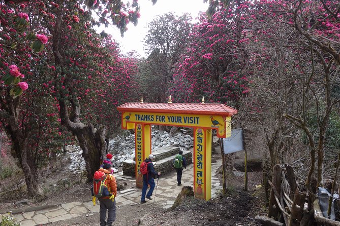 Poonhill Trek - Kathmandu to Pokhara: you get a real travel choice