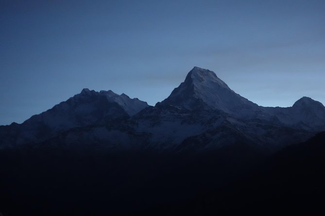 Poonhill Trek - Day 3 to Ghorepani: forests, a gentle ascent, and the route that sets up sunrise