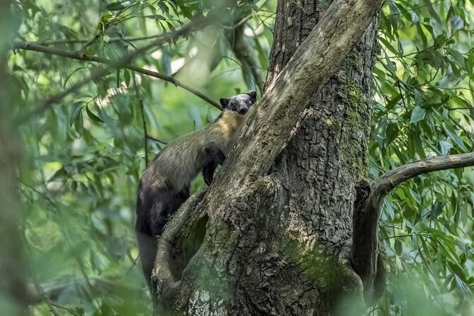 Popular One-Day Hiking Options from Kathmandu - What makes the guiding worth it (Rey is a clue)