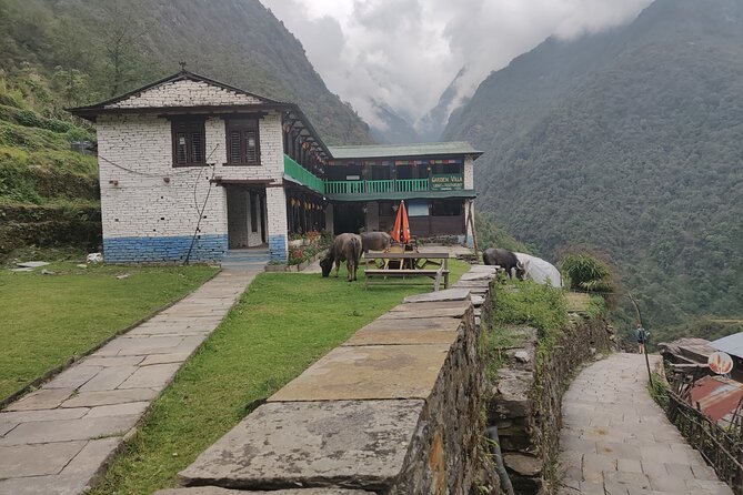 Private 12-Day All Inclusive Guided Annapurna Base Camp Trek Tour - Day 4 to Chhomrong: Farming, Forest, and a Serious View Day