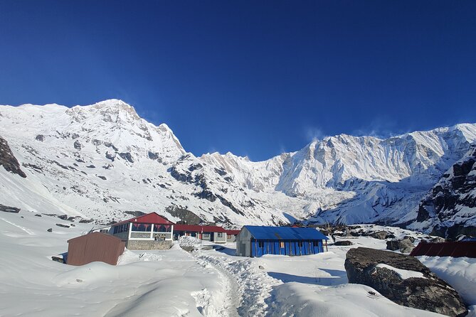 Private 12-Day All Inclusive Guided Annapurna Base Camp Trek Tour - Day 5: Sinuwa and Dobhan, Two More Steps Higher