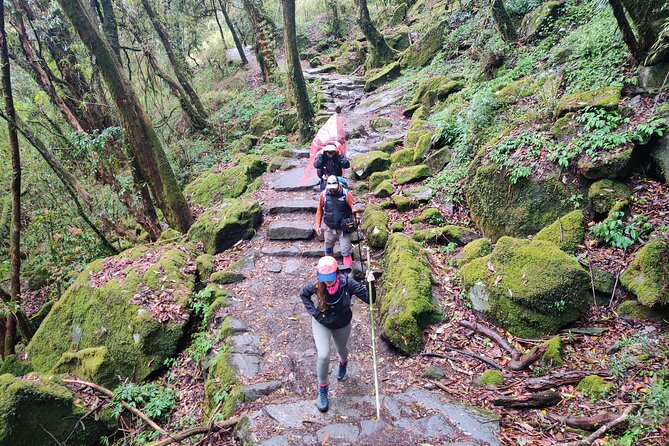 Private 12-Day All Inclusive Guided Annapurna Base Camp Trek Tour - Day 6: Bamboo to Deurali Tea House Country