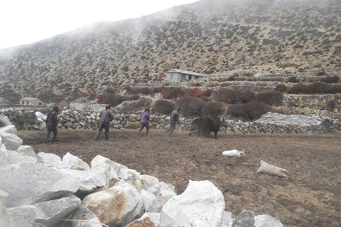 Private 12 - Day Everest Base Camp Trekking - Day 4 to 6: Tengboche, Dingboche, and acclimatization that feels earned