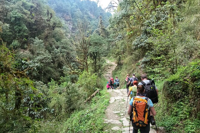 Private 4 - Day Poon Hill Trekking - Tadapani via rhododendron forests: the “walking day” after sunrise