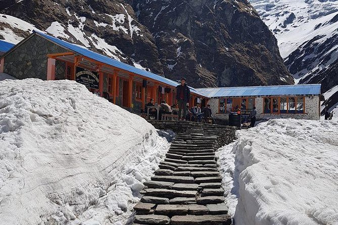 Private 7 - Day Annapurna Base Camp Trekking - Permits, Water Purification, and Altitude-Friendly Support