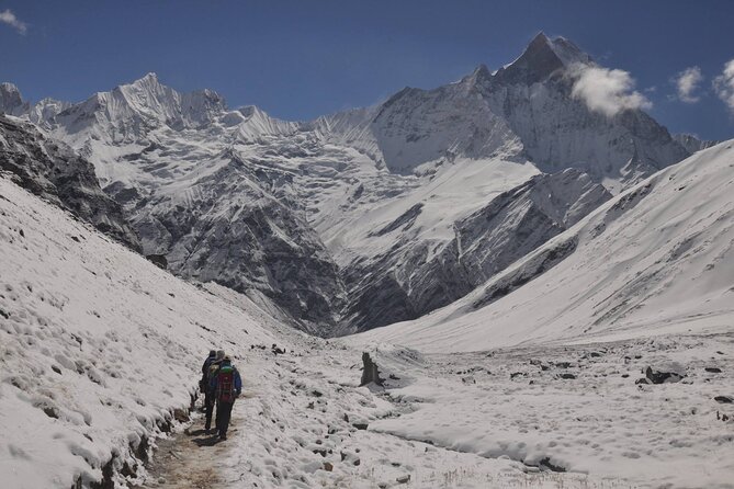 Private 7 - Day Annapurna Base Camp Trekking - Should You Book This 7-Day Private Annapurna Base Camp Trek?