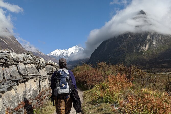 Private 8 - Day Langtang Trekking - Days 6 to 7: Retracing Down Through Rhododendron Forests
