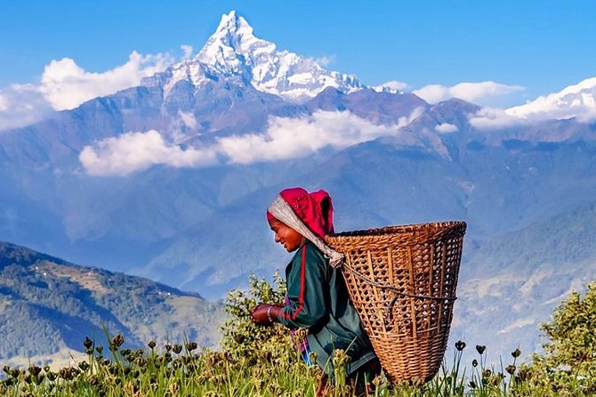 Private Full-Day Hike in the Annapurna Foothills in Pokhara - Annapurna Foothills Hiking, Without the Navigation Stress