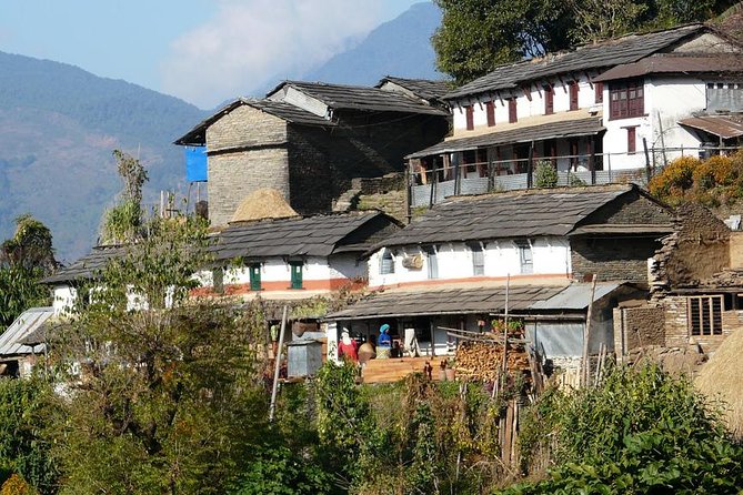 Private Full-Day Hike in the Annapurna Foothills in Pokhara - Dhampus Village: Rural Lanes and Gurung Traditions