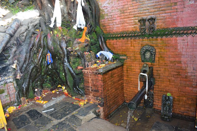 Private Half Day Budhanilkantha Tour - The village edge of Kathmandu: calmer, more local-feeling