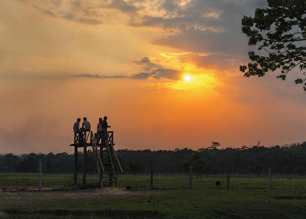 Private Jeep Safari (8-10 hrs.)inside Chitwan National Park. - Key Highlights You’ll Feel on This Jeep Safari