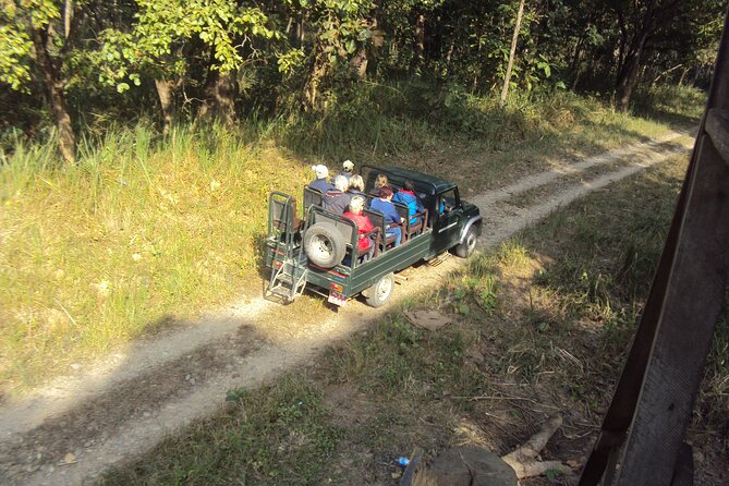 Private Jeep Safari (8-10 hrs.)inside Chitwan National Park. - The Big Targets: What You’ll Look For Inside the Park