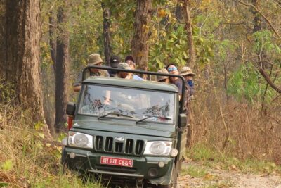 Private Jeep Safari (8-10 hrs.)inside Chitwan National Park.