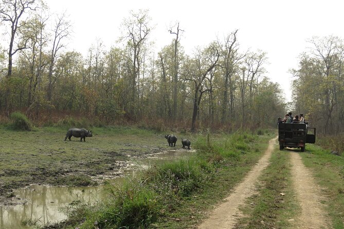 Private Jeep Safari (8-10 hrs.)inside Chitwan National Park. - Stop in Chitwan National Park: How the Day Plays Out