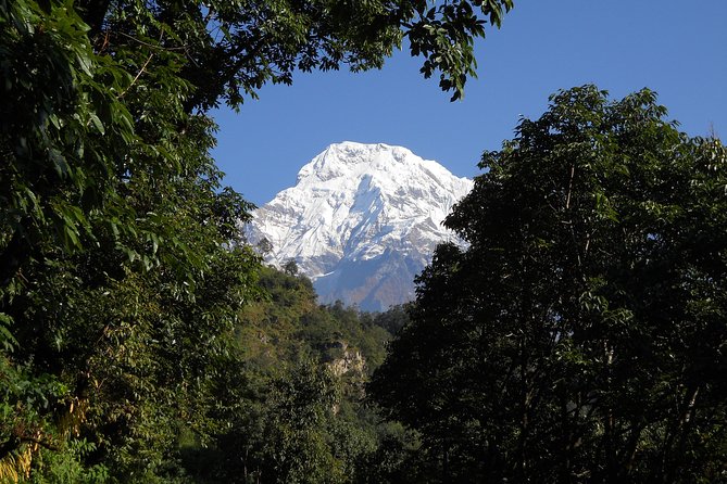 Private Multi Day Nepal Poon Hill Trekking Tour - Poon Hill sunrise hike, rhododendron forest to the 3,190 m viewpoint