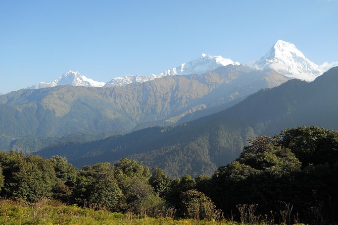 Private Multi Day Nepal Poon Hill Trekking Tour - What’s included, and why that matters for value at $900