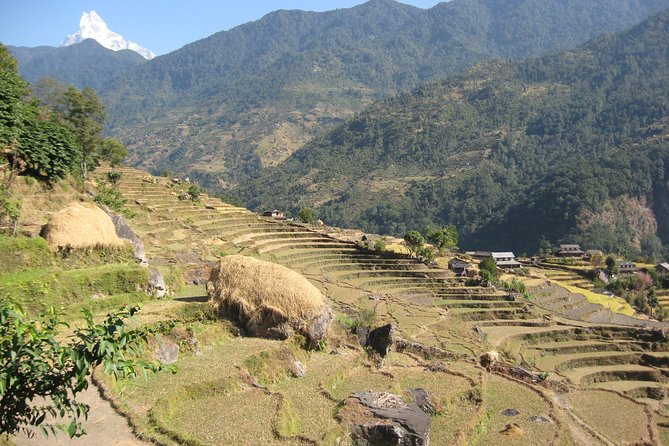 Private Multi Day Nepal Poon Hill Trekking Tour - Meeting at 6:00 am in Kathmandu, then heading toward the Annapurna views