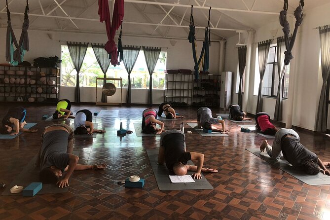 Regular Yoga for all levels of practitioners in Kathmandu - Price and Logistics: How to Judge Value for $2,506