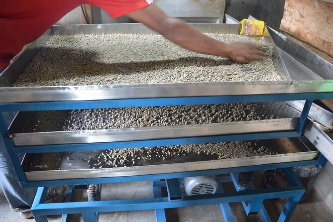 Sarangkot Village Coffee Culture and Authentic Local Life Tour - Why Sarangkot Coffee Culture feels different in Pokhara