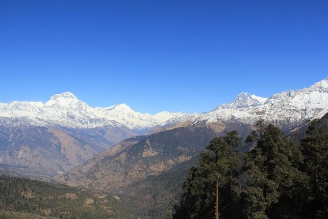 Short Annapurna Base Camp Trek - 7 Days - Lodge life in tea houses: included meals, real hosting