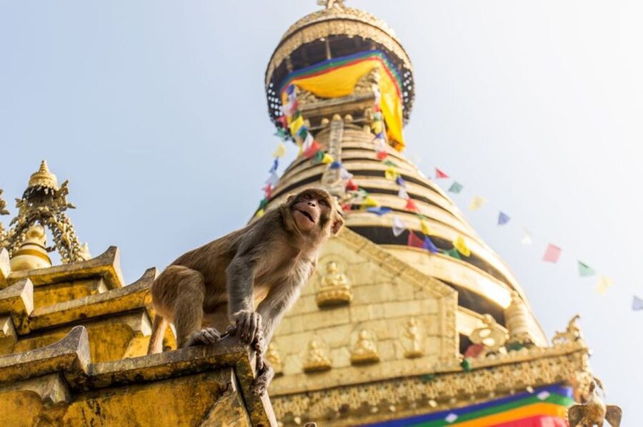 Spiritual Nepal: Expert insight into Multifaith Journey - Price and extras: what $150 covers, and what doesn’t